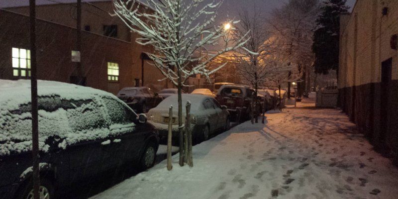 First Day of Spring