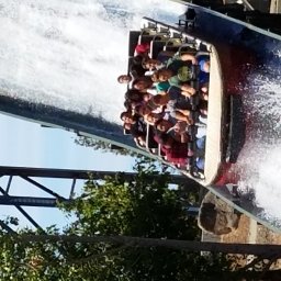 Having fun