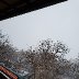 20210120_073355