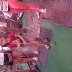 Having fun
