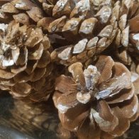 1471824298551-1997603892