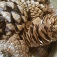 1471824319077635241433