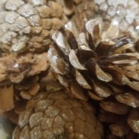 14718243536621853174087