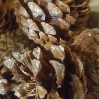 14718243683991580206311