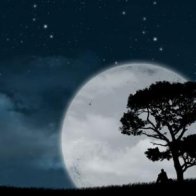 silent-night-21687111