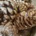 Test4