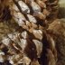 Test4