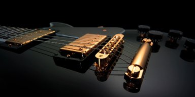 let me tell you about the birds and the bees